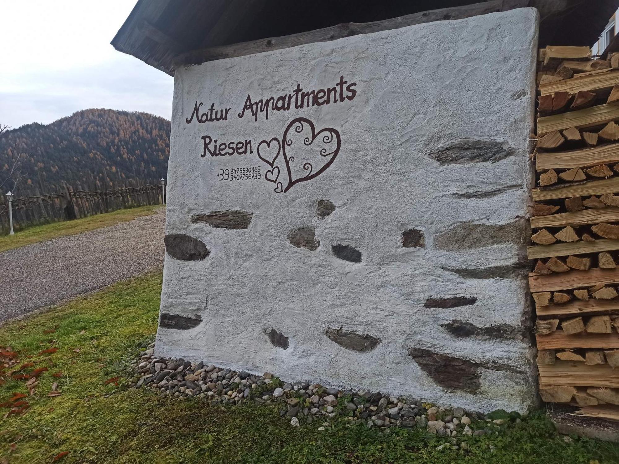 Natur Appartments Riesen Сан-Лоренцо-ди-Себато Экстерьер фото